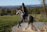 equitation ardeche