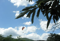 parapente ardeche